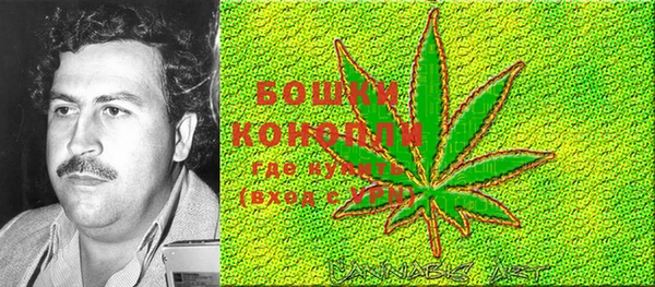 стафф Нефтекумск
