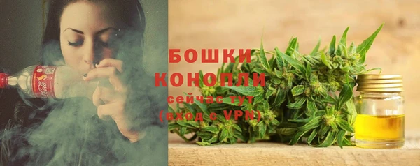 стафф Нефтекумск