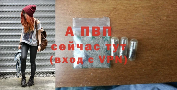 стафф Нефтекумск