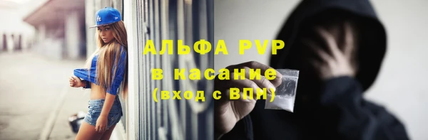 стафф Нефтекумск
