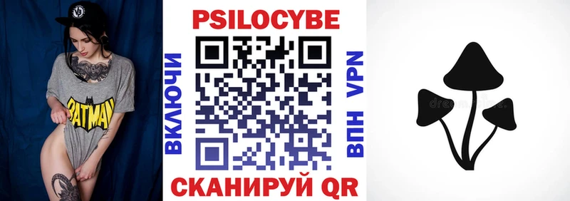 купить  цена  Скопин  Псилоцибиновые грибы Psilocybe 