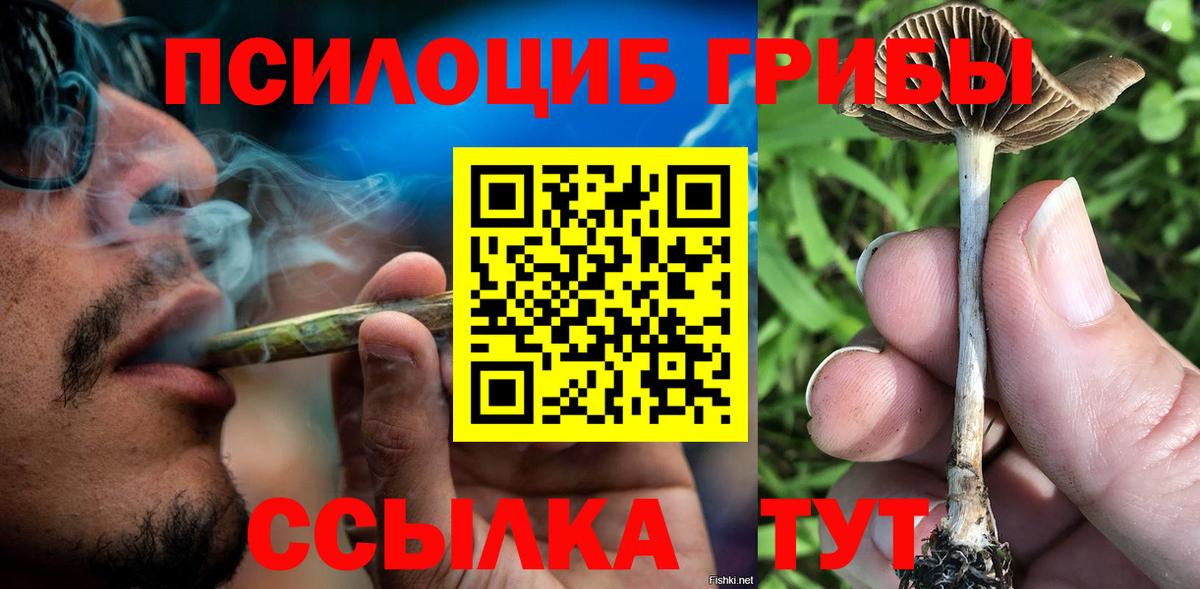 Псилоцибиновые грибы мицелий  Вход с VPN  Скопин 